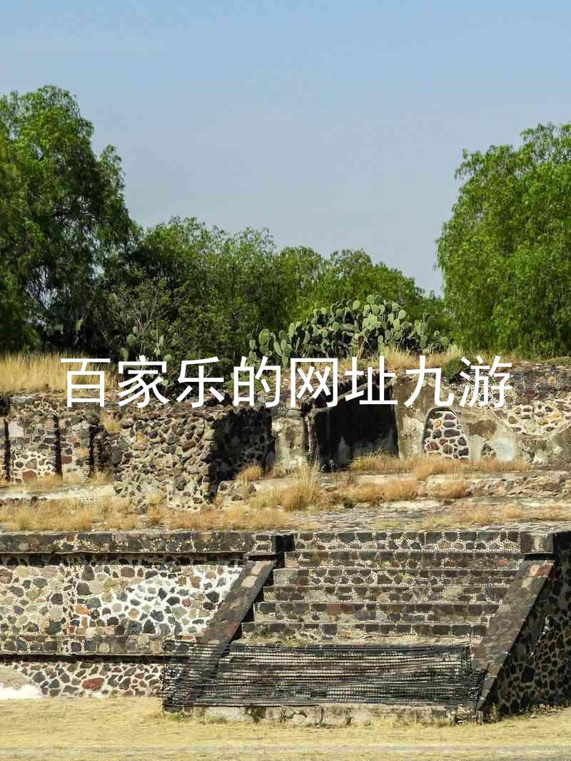 百家乐的网址九游